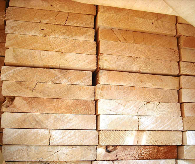 丰润智利辐射松方木